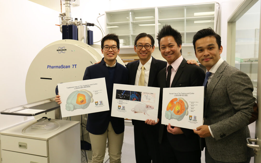 HKU scientists utilise innovative neuroimaging approach to unravel complex brain networks