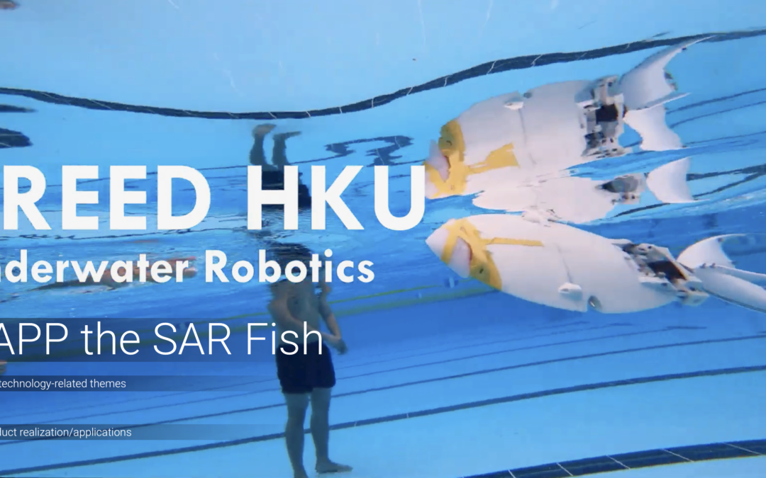 Winners in the InnoSpark