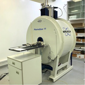 high_field_7_tesla_MRI_Scanner