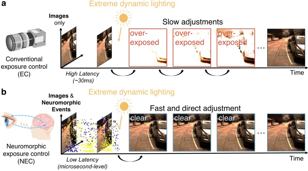 HKU Researchers Unveil Neuromorphic Exposure Control System to Improve Machine Vision in Extreme Lighting Environments
