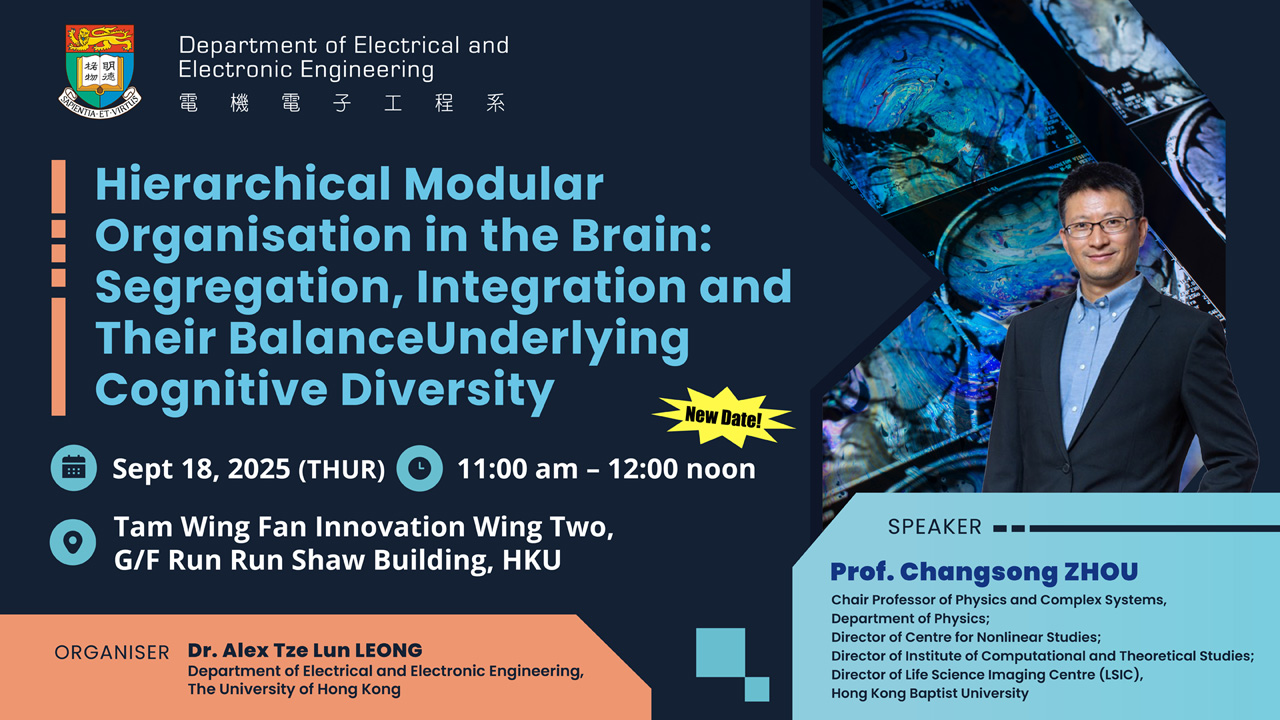 Seminar on Hierarchical Modular Organisation in the Brain: Segregation, Integration and Their Balance Underlying Cognitive Diversity