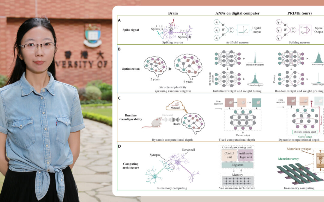 “Topology optimization of random memristors for input-aware dynamic SNN”, a paper in Science Advances