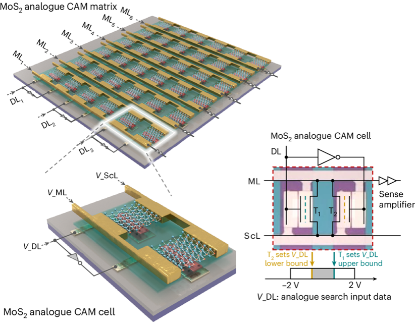 Figure: Analogue CAM built with 2D flash memories.