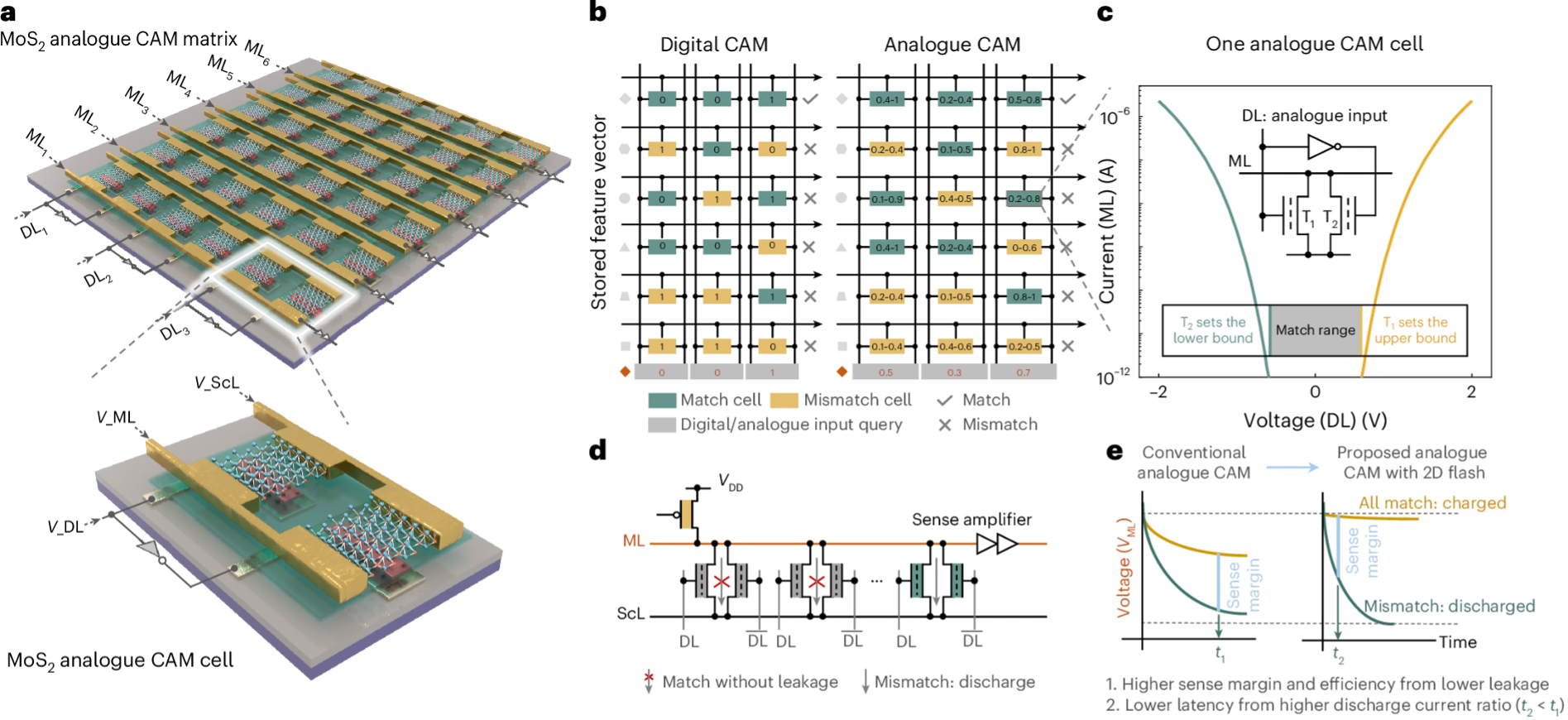 Figure: The custom-built experimental setup and the MoS2 analogue CAM array.