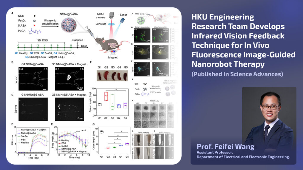 HKU Engineering Research Team Develops Infrared Vision Feedback Technique for In Vivo Fluorescence Image-Guided Nanorobot Therapy (Published in Science Advances)