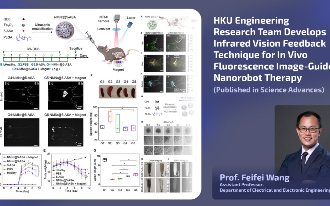 HKU Engineering Research Team Develops Infrared Vision Feedback Technique for In Vivo Fluorescence Image-Guided Nanorobot Therapy (Published in Science Advances)
