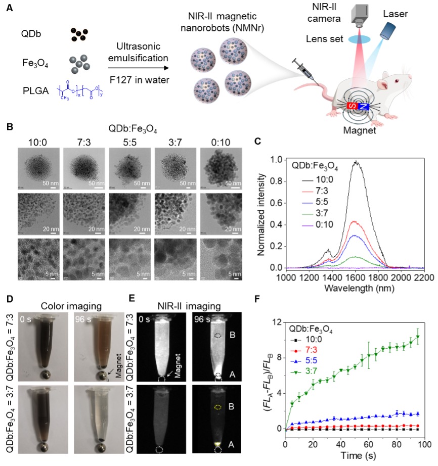 Figure: Preparation and characterization of NIR-II magnetic nanorobots.