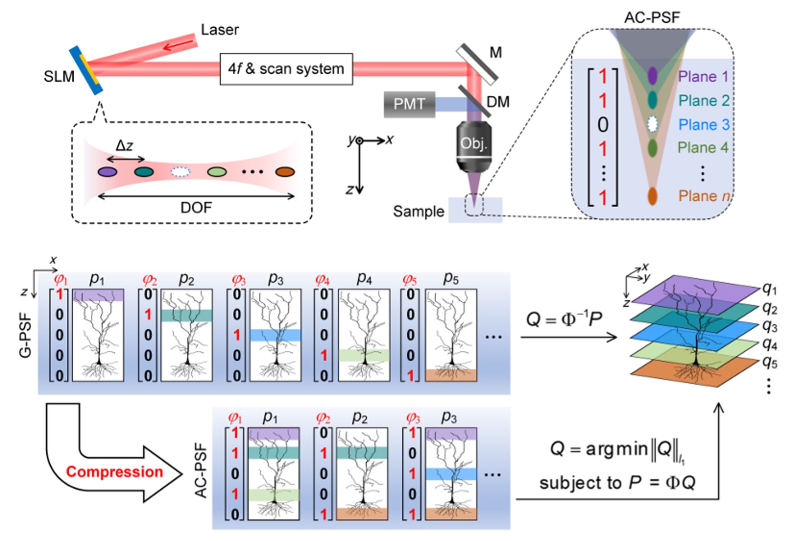 Powered by the Arbitrary Illumination Microscopy with Encoded Depth (AIMED) technique, axial encoding enables simultaneous multiplexing of multiple depth layers, allowing volumetric information to be reconstructed from substantially fewer scans through the joint use of structured illumination and compressive sensing.