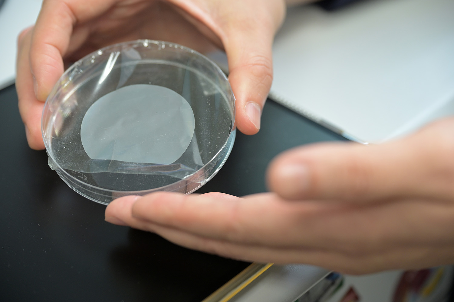 prof. chu's project image