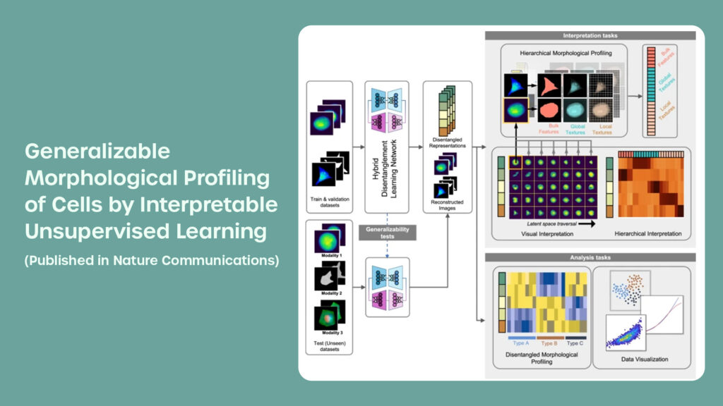 "Generalizable Morphological Profiling of Cells by Interpretable Unsupervised Learning”, a Paper in Nature Communications