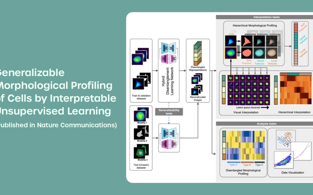 “Generalizable Morphological Profiling of Cells by Interpretable Unsupervised Learning”, a Paper in Nature Communications